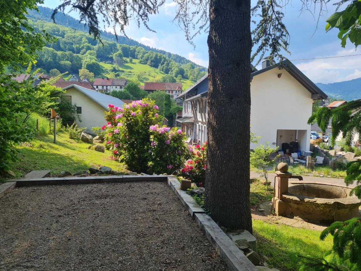Locations Des 3 Sommets Avec Sauna Et Spa En Alsace Sondernach Exterior foto